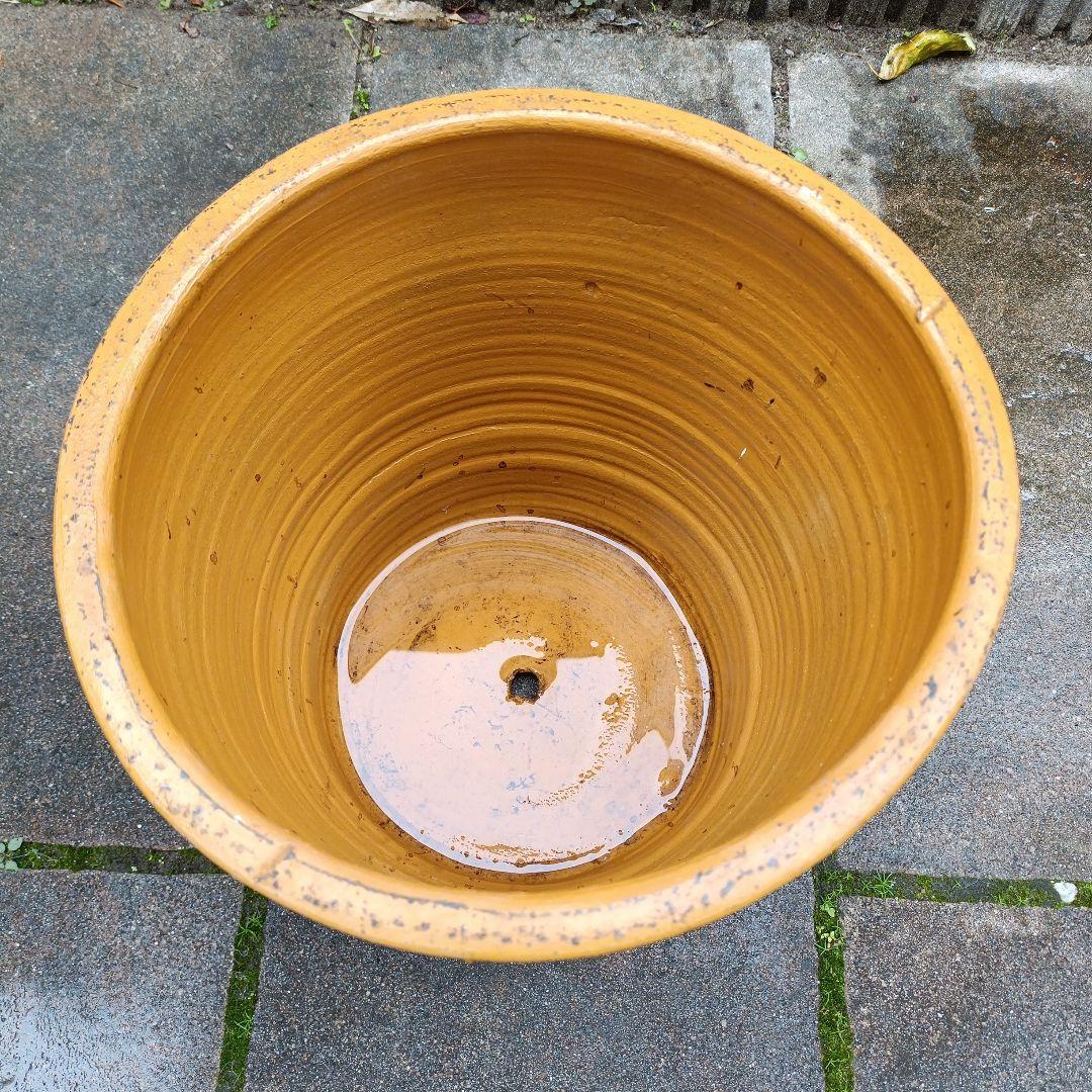 オレンジ色のテラコッタプランター