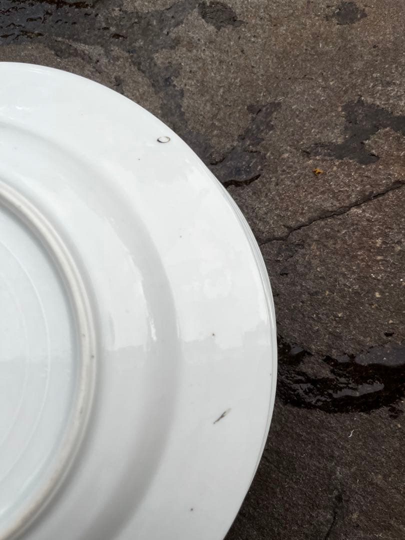 希少　香蘭社　有田焼　カレー　スープ　パスタ　23cm 6枚セット　アンティーク