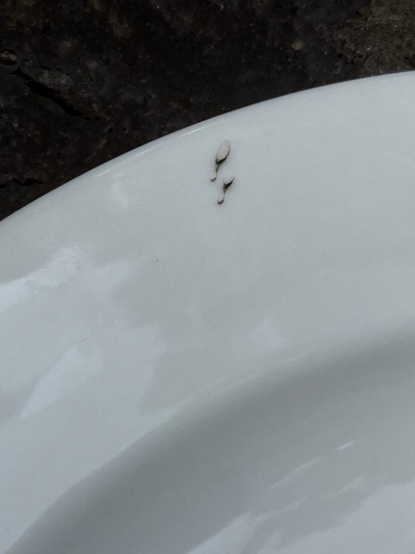 希少　香蘭社　有田焼　カレー　スープ　パスタ　23cm 6枚セット　アンティーク