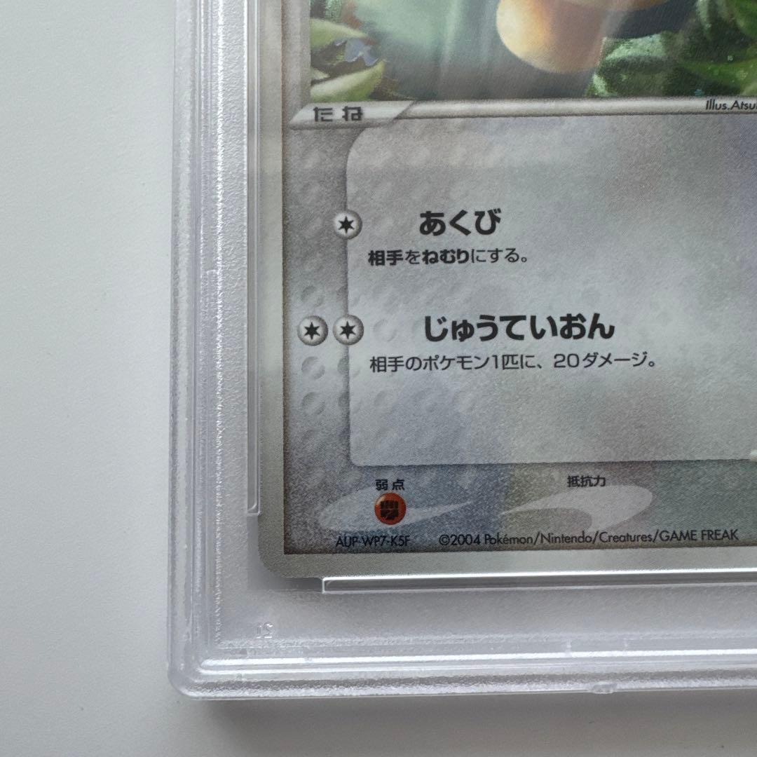 ラルースのゴンベ PSA10 ポケモンセンタートウキョー ポケモンカード