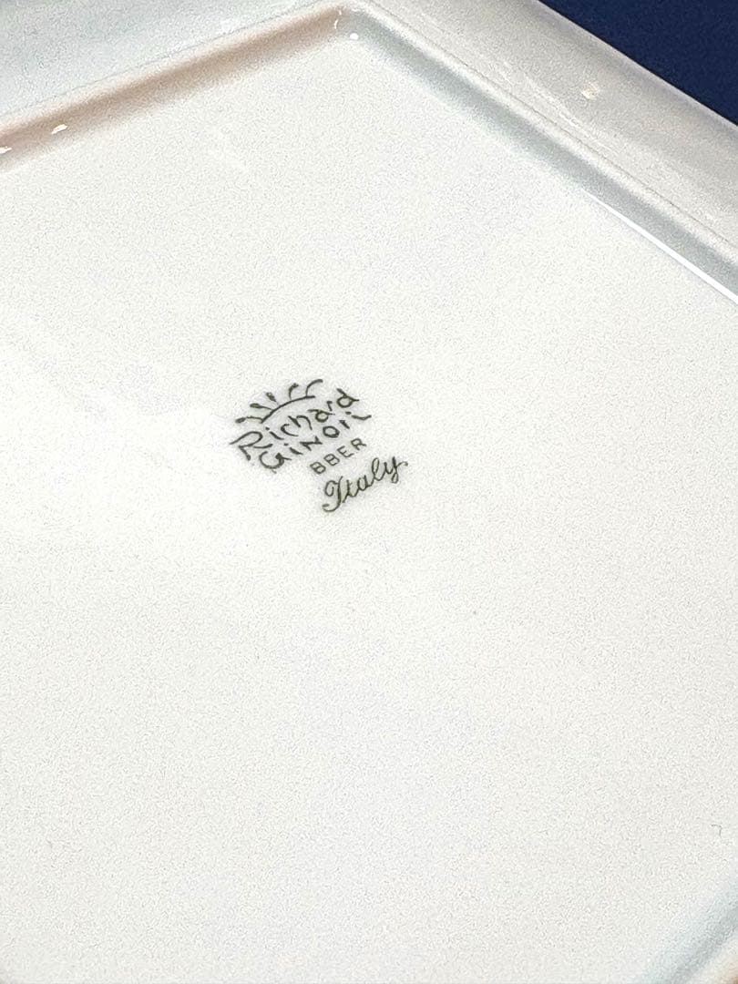 ボンジョルノ ディンブロ ペアプレート お皿 新品 リチャードジノリ