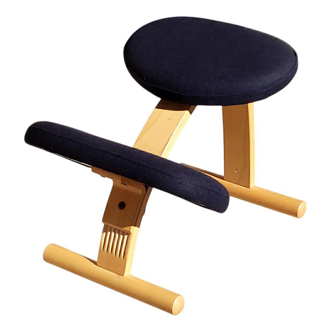 リボ バランスイージー バランスチェア ネイビー ブナ 姿勢矯正 北欧