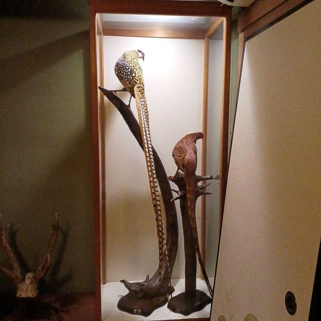 剥製ケース付き