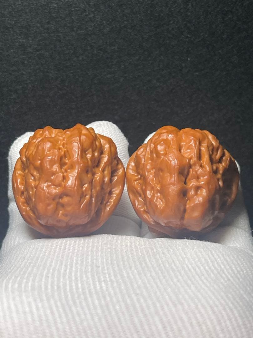 【育成1年目】延慶蝦蟇頭42mm