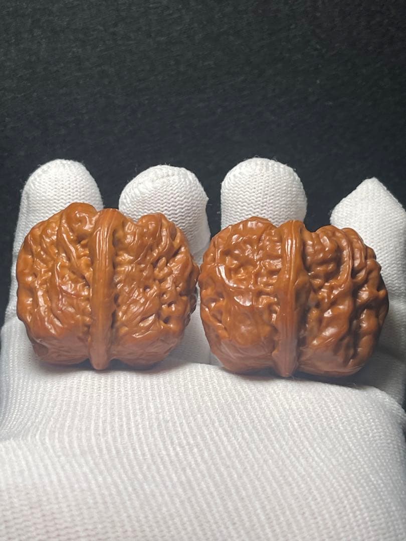 【育成1年目】延慶蝦蟇頭42mm