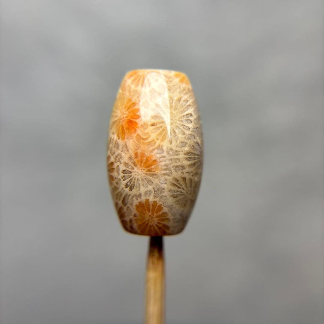 もんちゃんフォッシルコーラル　天珠　1-317