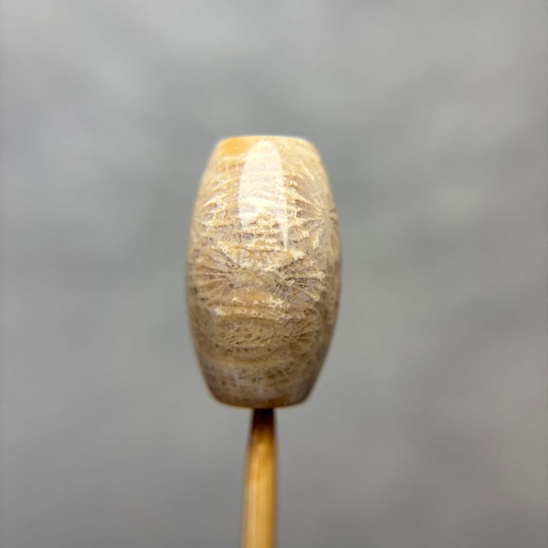 もんちゃんフォッシルコーラル　天珠　1-317