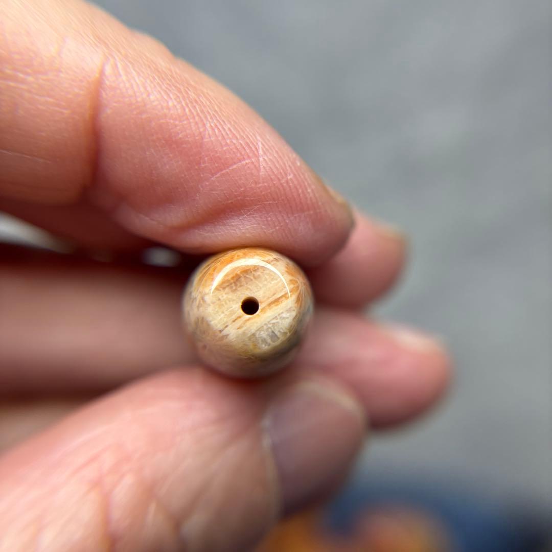 もんちゃんフォッシルコーラル　天珠　1-317