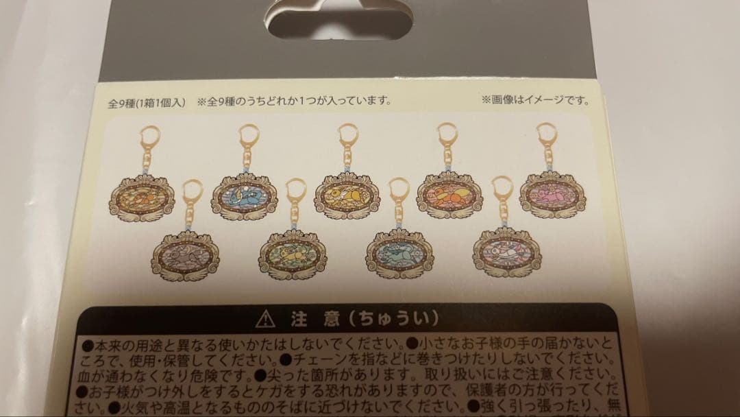 ポケパーク カントー 限定 イーブイズ アクリルキーホルダー ランダム