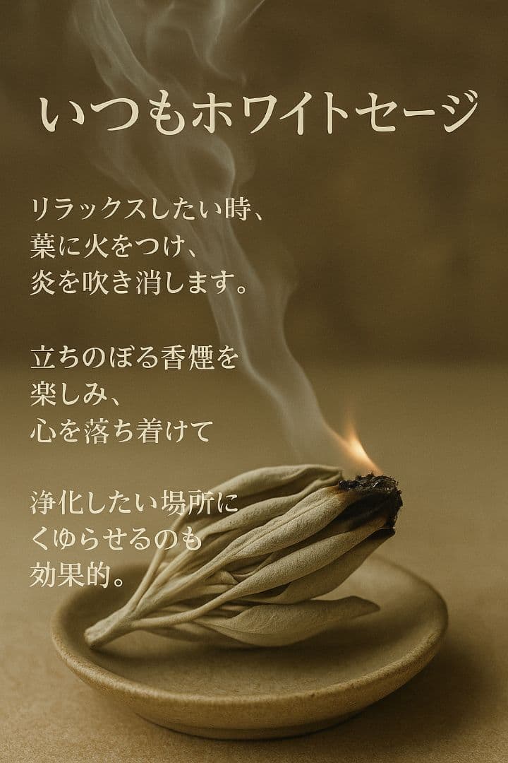 激安価格☆無農薬アウトレットホワイトセージリーフ1KG箱入りお香浄化業務用価額