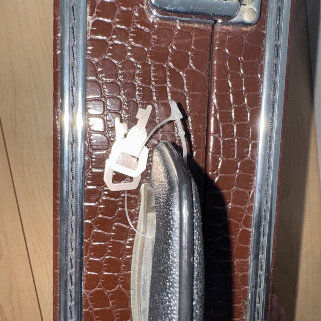 三線 弦楽器 和楽器 楽器 蛇柄 人工皮 ハードケース付き