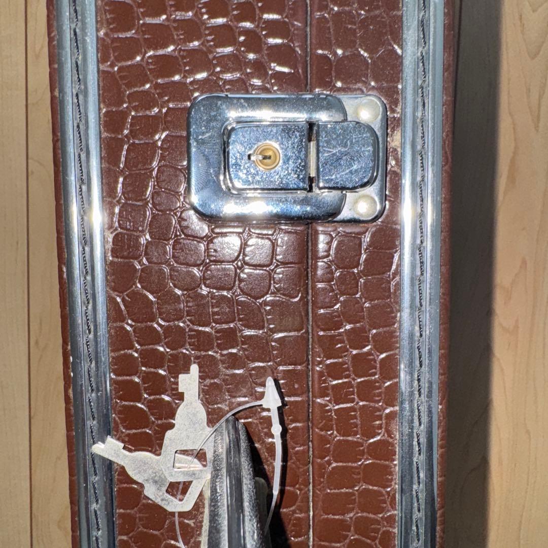 三線 弦楽器 和楽器 楽器 蛇柄 人工皮 ハードケース付き