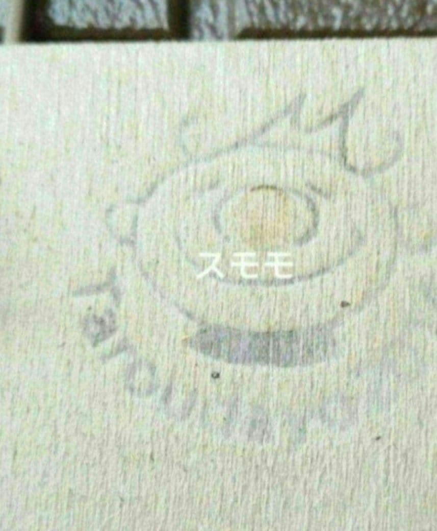 alcicorne compact (oc) 株分 アルマダドワーフ　ビカクシダ