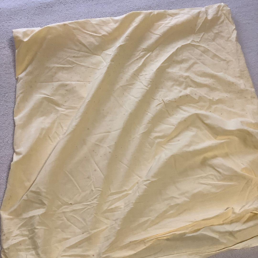 日本画 菩薩 岩崎甚一郎 金色縁額装