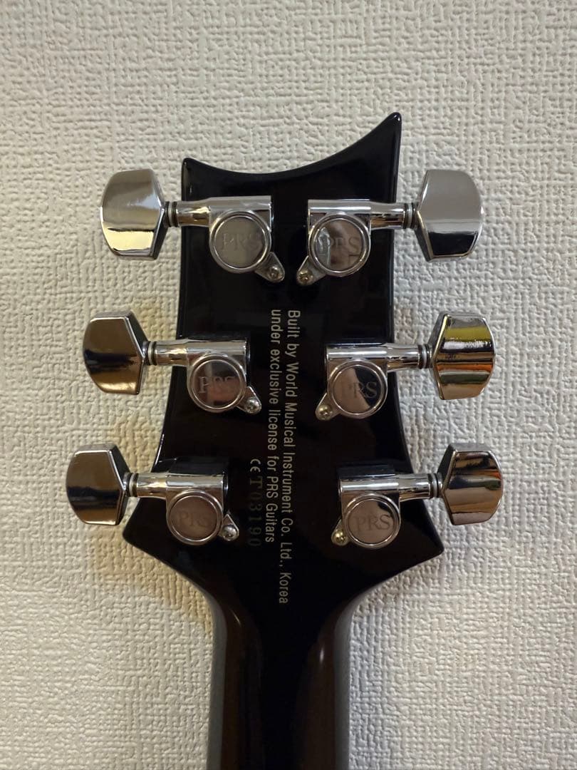PRS(Paul Reed Smith) se custom24 (付属品多数)