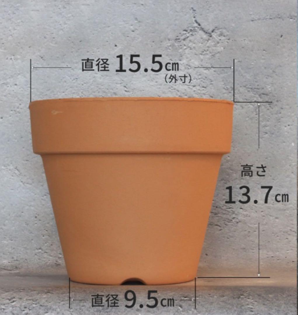 素焼き鉢5号（三河焼き 再生鉢）6個 まとめ買い対象外 - メルカリ