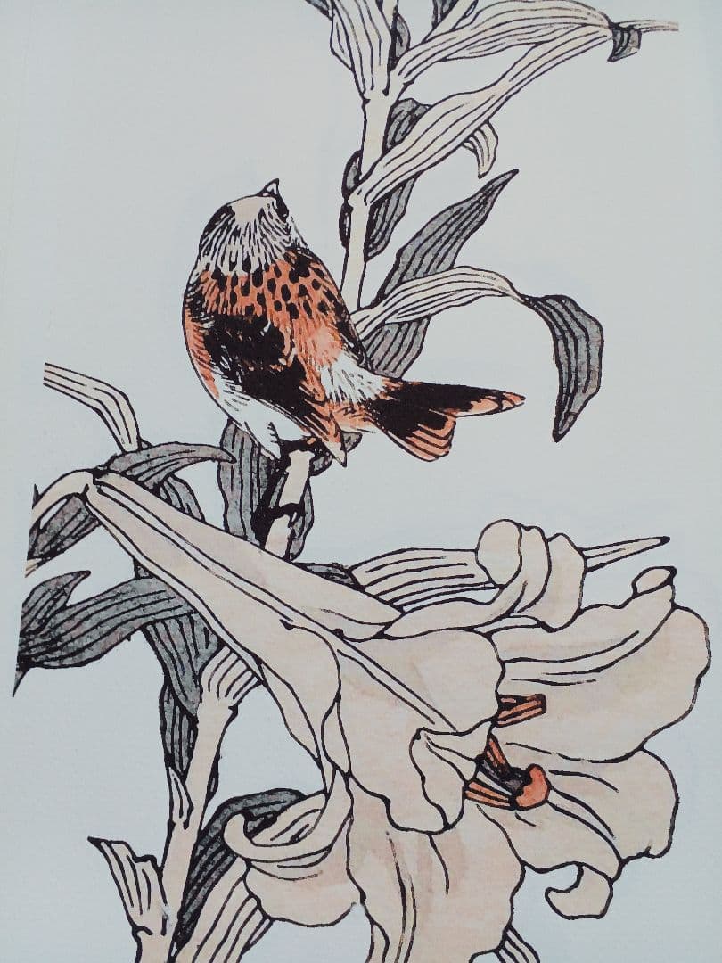 江戸屋版 媒嶺花鳥画譜第1編 27図 手作り古画修復 浮世絵風 - メルカリ