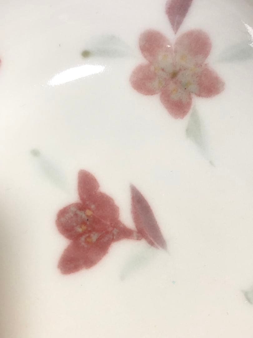 《R》花碗皿5客組 日展作家 一位窯 田中忍 共箱　251218か1