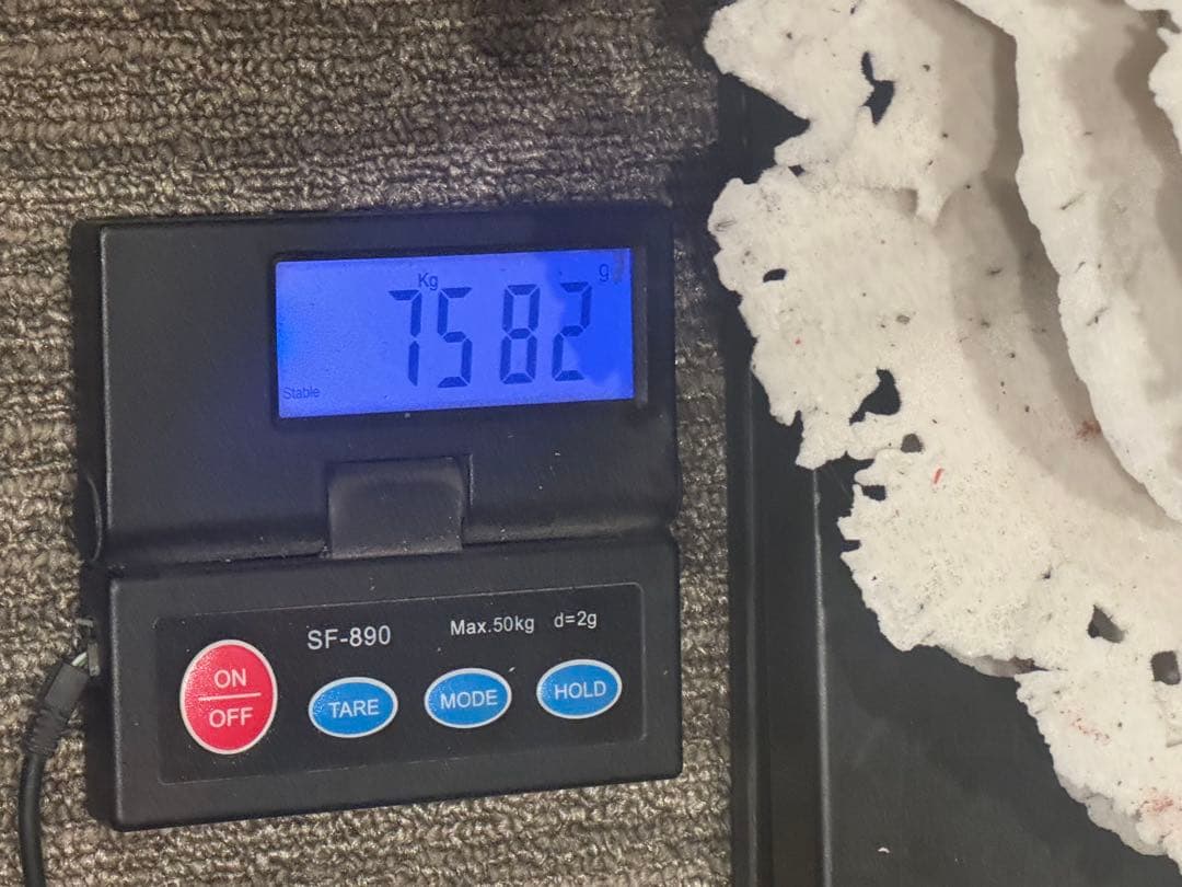 希少 サンゴ 天然珊瑚 原木 コーラル 赤 桃色 インテリア置物