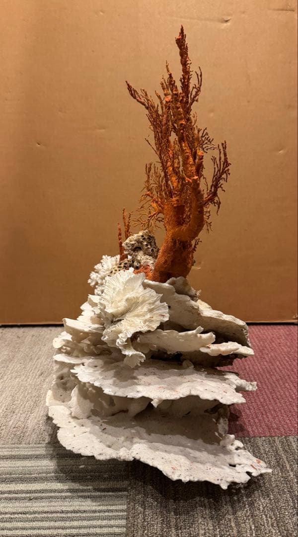 希少 サンゴ 天然珊瑚 原木 コーラル 赤 桃色 インテリア置物