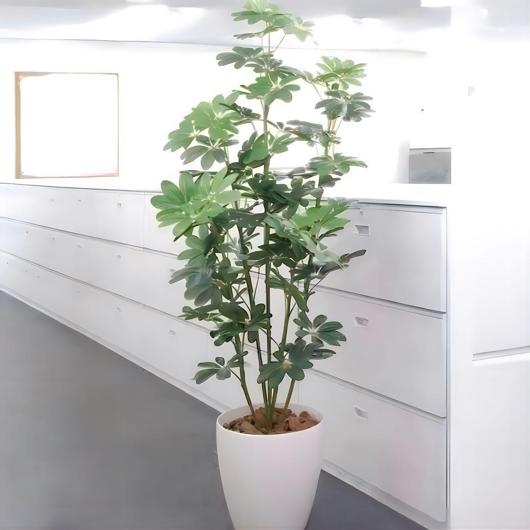 光触媒　人工観葉植物　ウォールグリーン　フェイクグリーン　カポック 1.8m