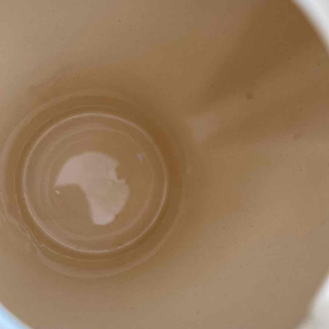 スージークーパー　スカロップボーダーフローラルモチーフ