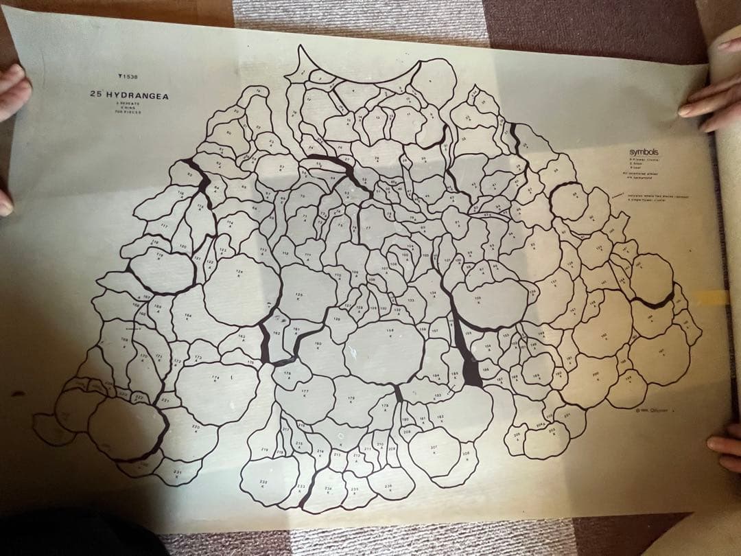 オデッセイ　ハイドランジア　25インチ　モールド