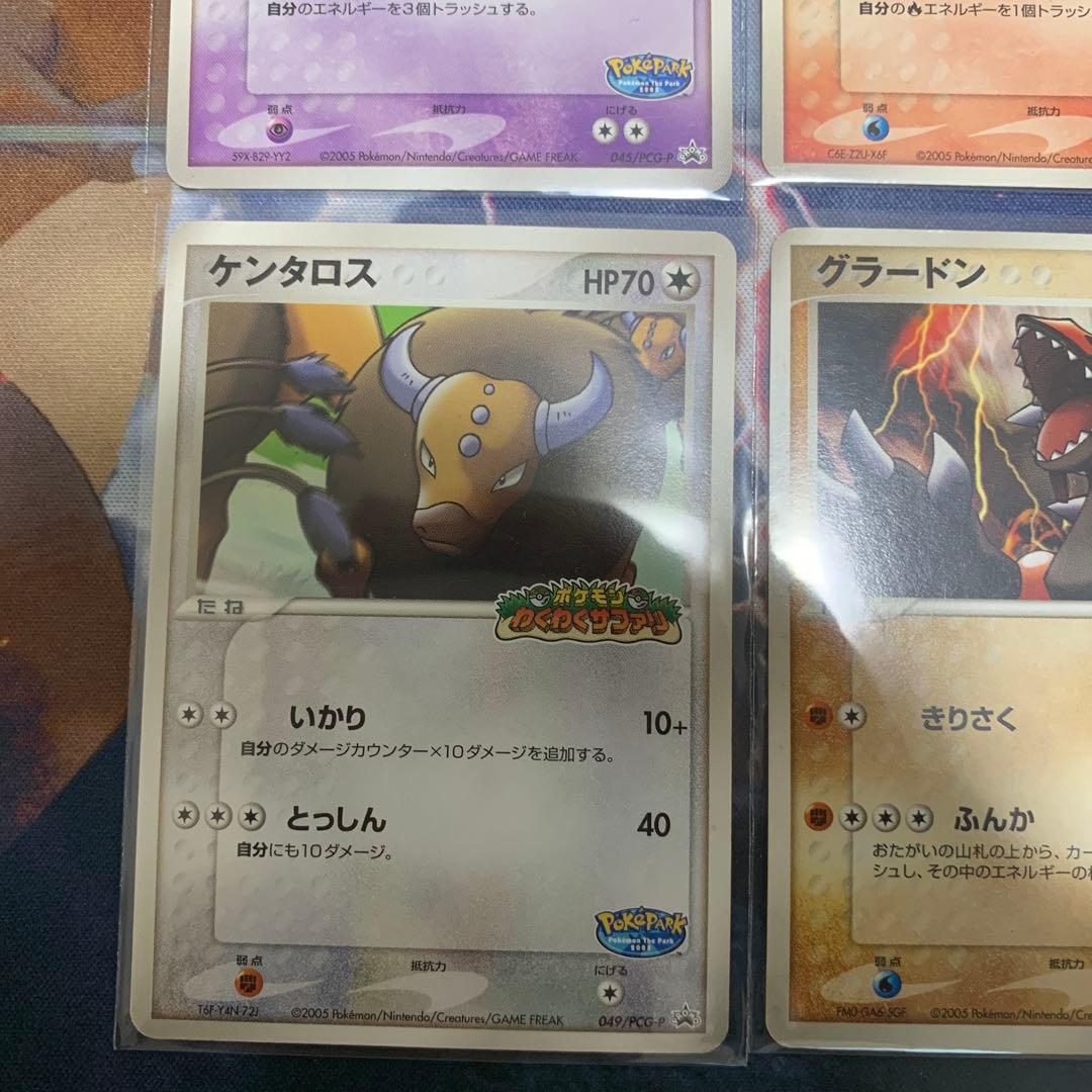 ポケモンカード　ポケパーク　まとめ売り