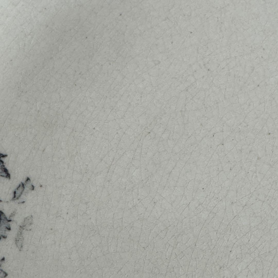 フランスアンティーク ショワジールロウ ETRETAT ディナープレート 2枚