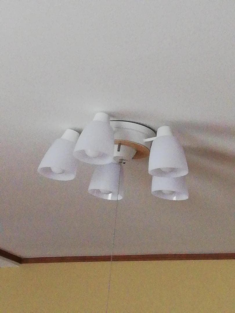 シーリングライト 5灯 シャンデリア ペンダントライ おしゃれ 北欧 LED天a