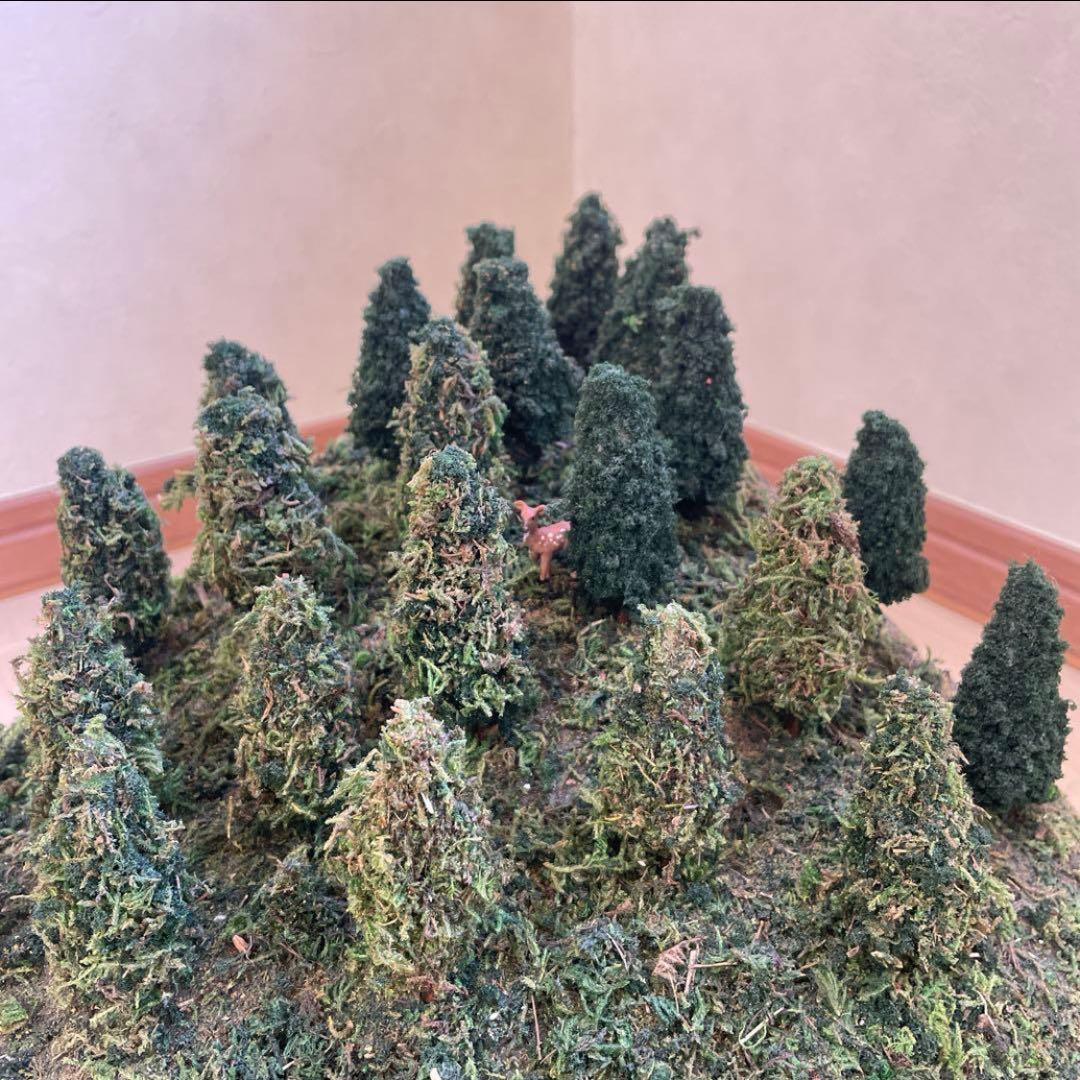 Nゲージ ジオラマ 田舎の風景　山　トンネル50cm×30cm