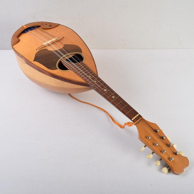 国島マンドリン NO.104 ハードケース・鼈甲ピック付 M R9251H - メルカリ