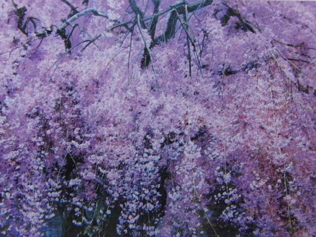 三栖右嗣、爛漫、希少画集画、新品高級額・額装付、状態良好