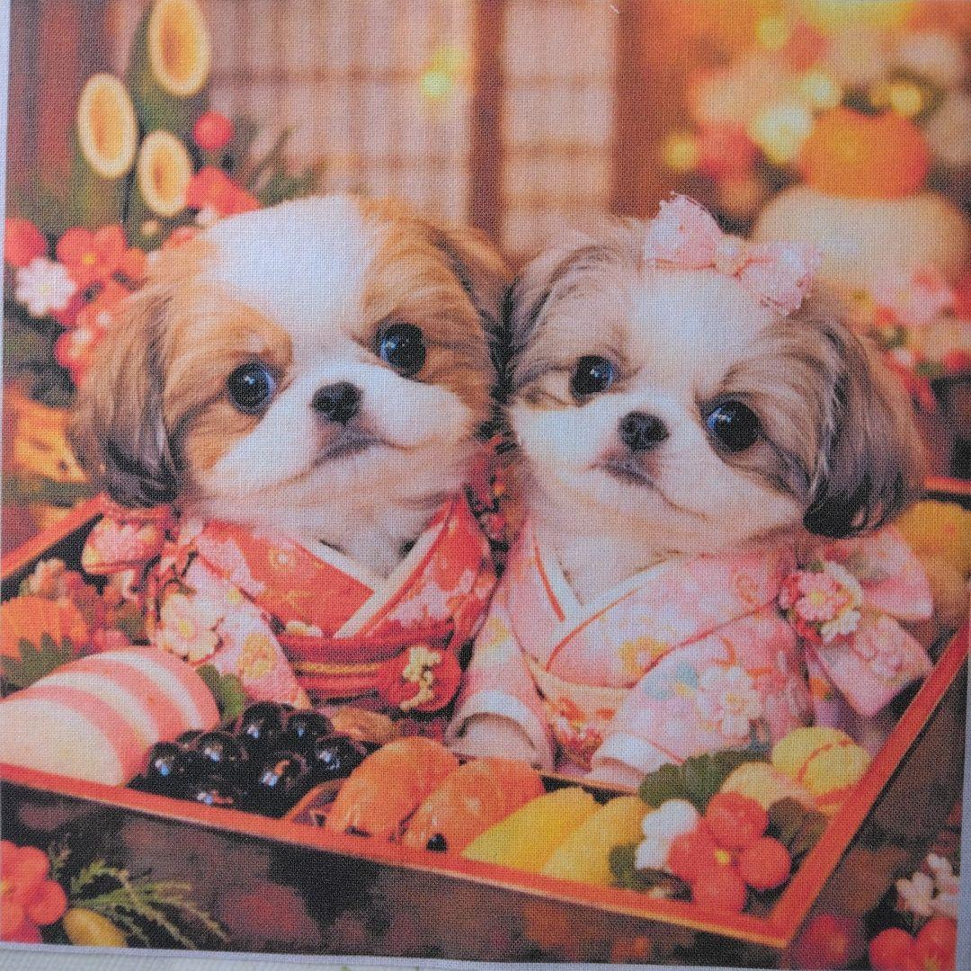 ☆受付☆シーズー No.A