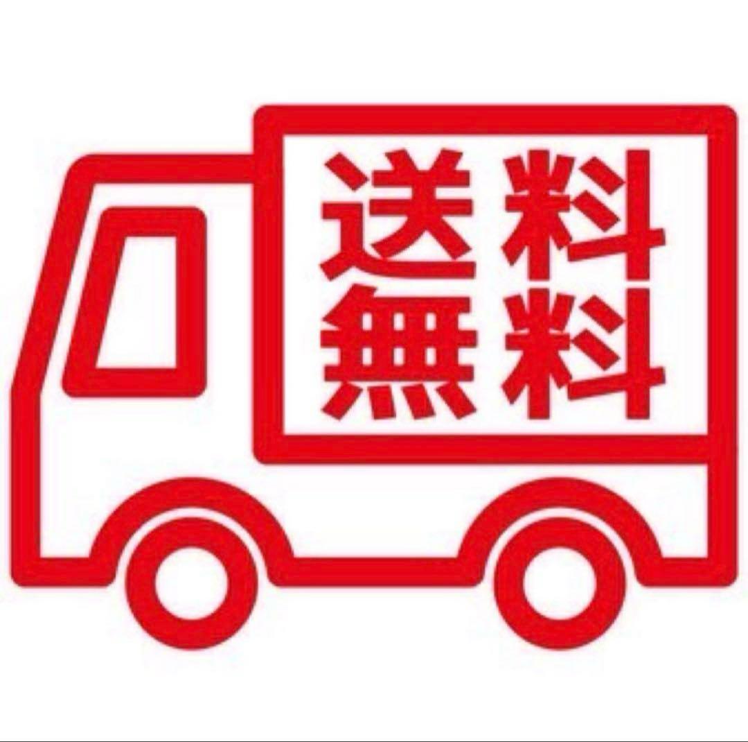 レインレイン☆2本⭐︎ニュースキンQ10スキンローション新品未使用