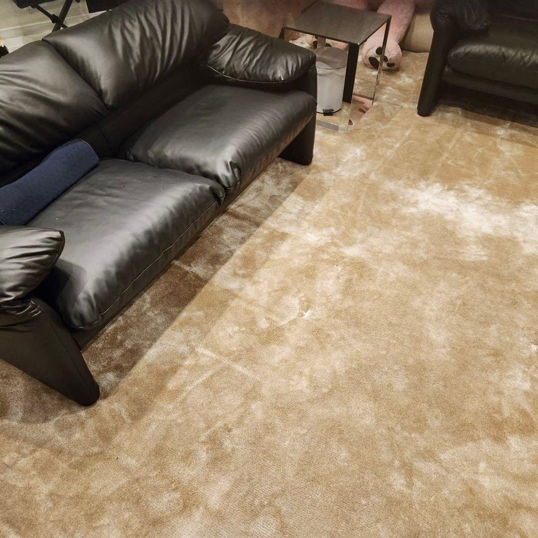 最高級！Fisba フィスバ Saga サーガ 80740ラグ単品 絨毯347万 - メルカリ