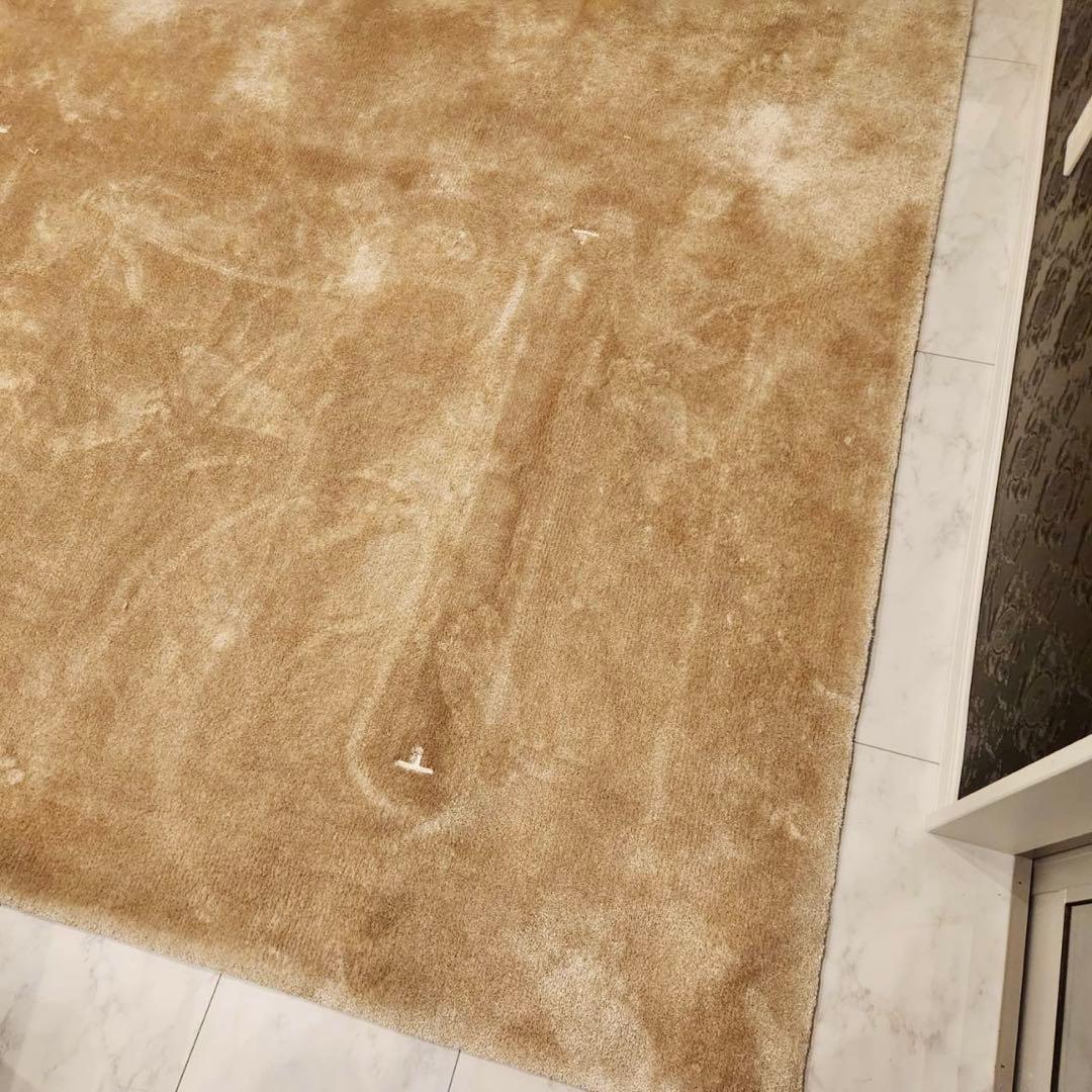 最高級！Fisba フィスバ Saga サーガ 80740ラグ単品 絨毯347万 - メルカリ