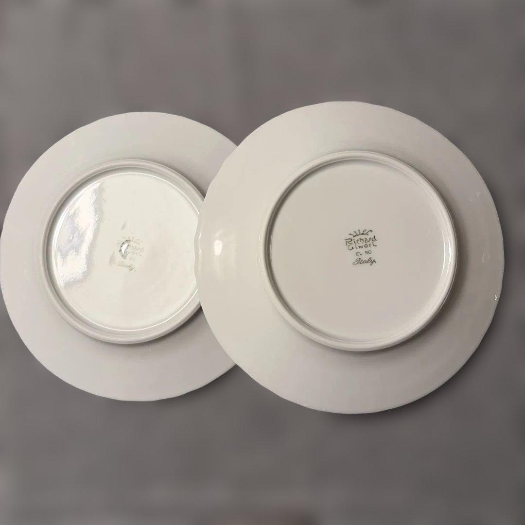 美品　リチャードジノリ　ベッキオレバント　10点セット