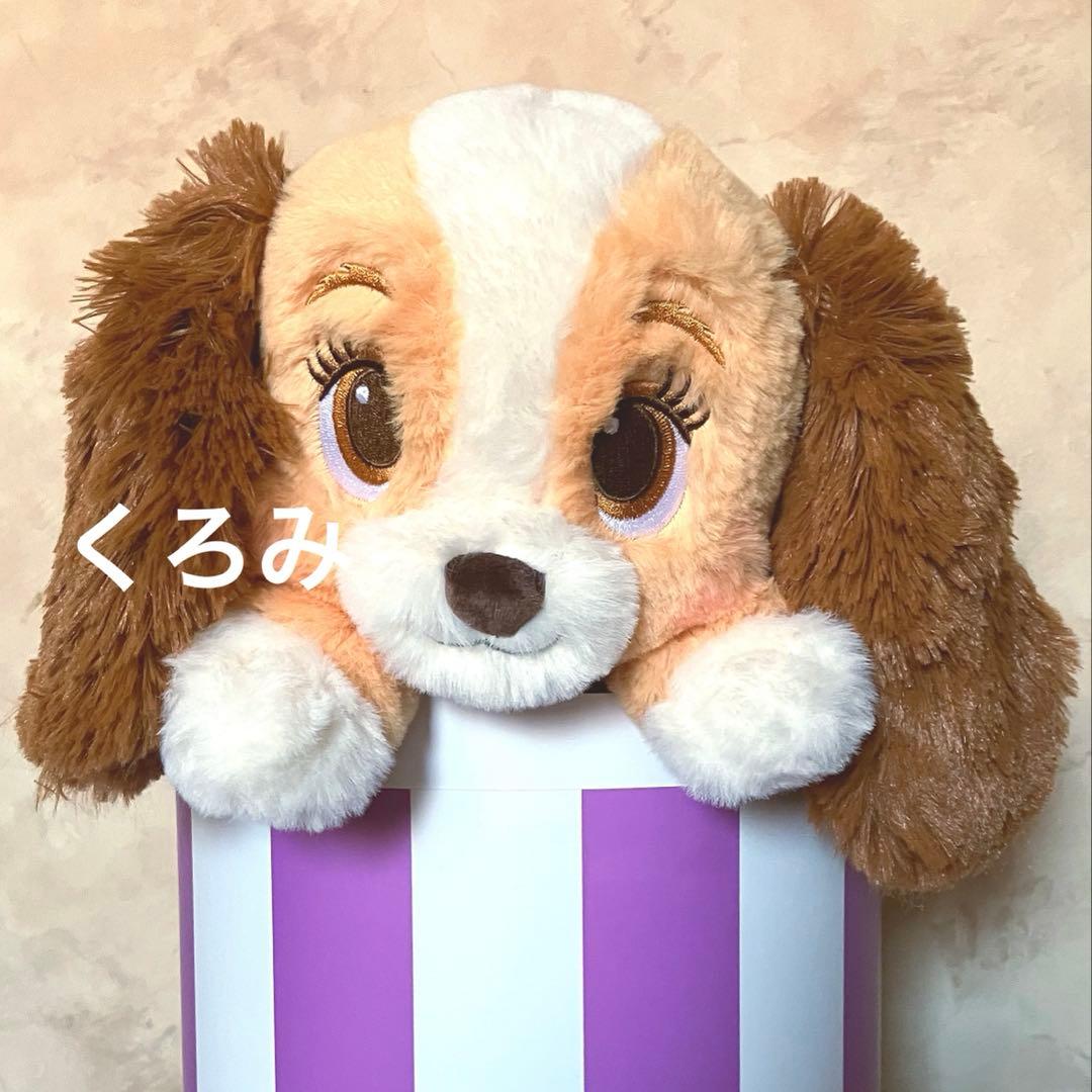 か*✨様 新品 ディズニー レディ ボックス入りぬいぐるみ わんわん物語