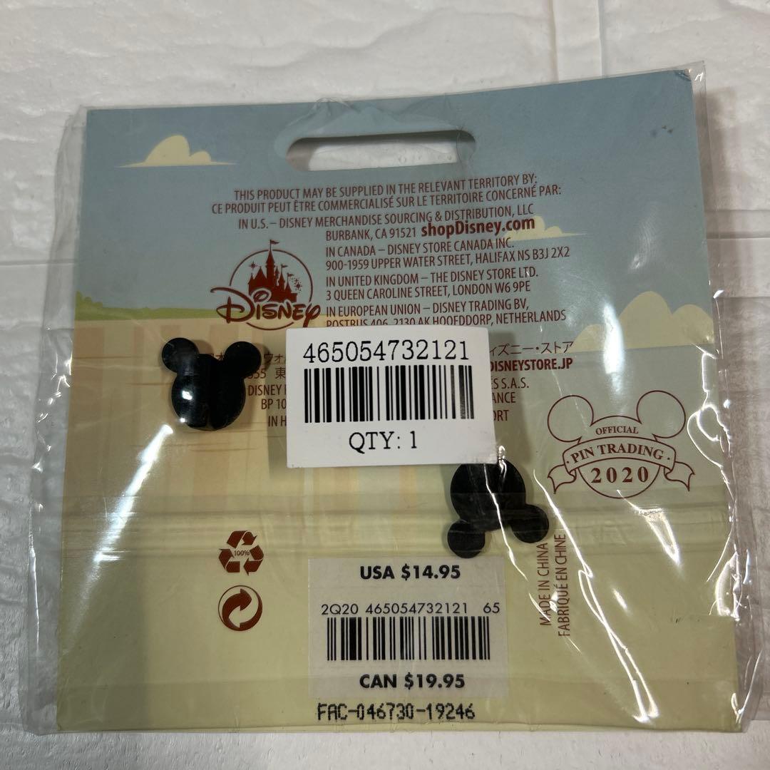 カールじいさんの空飛ぶ家　ピンバッチ　海外限定　レア