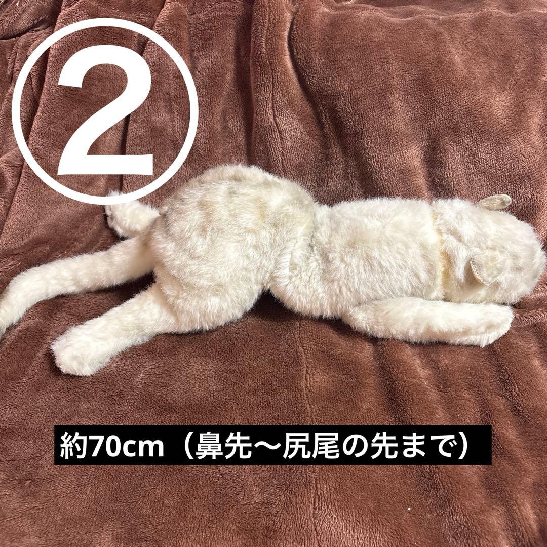 【大量】寝そべりたくさん猫＋αぬいぐるみセット【まとめ売り】