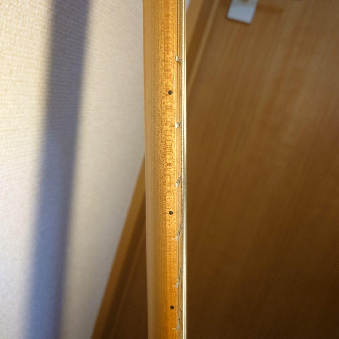 Bacchus BST-2-RSM/Mエレキギター　アンプセット