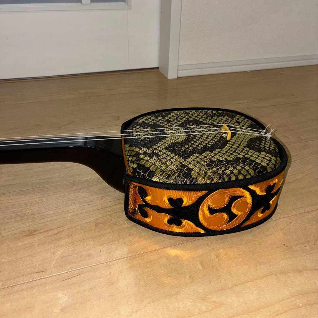 沖縄三味線 本体 人工革　蛇皮　ケース　教則本　DVD セット