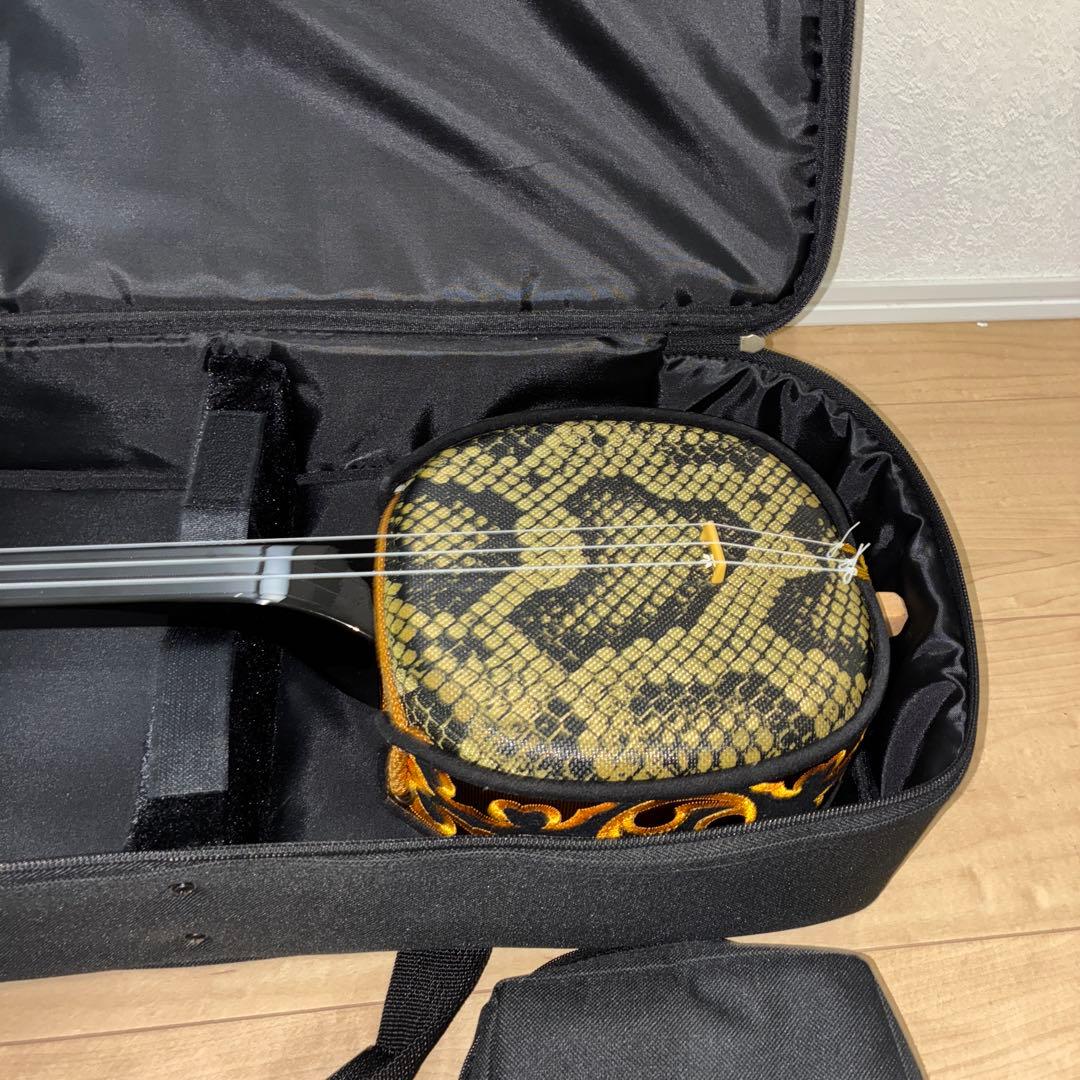 沖縄三味線 本体 人工革　蛇皮　ケース　教則本　DVD セット