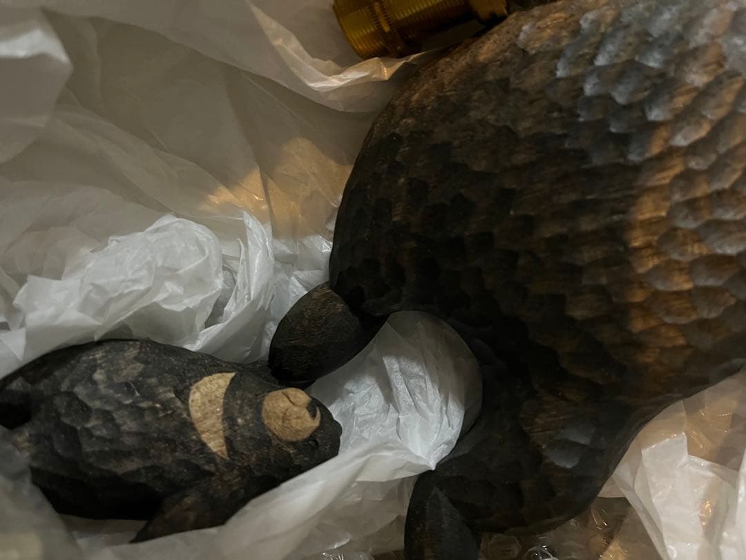 kiyata ランプ　ブラサガリクマ