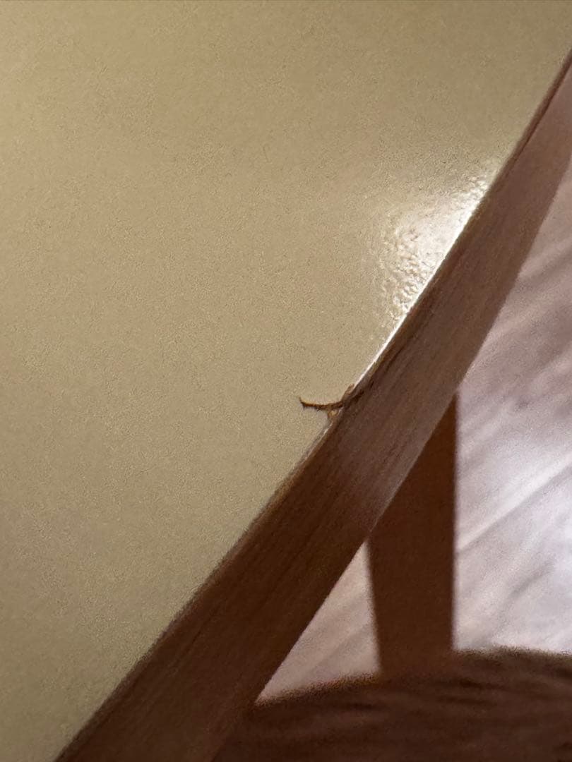 ぷ*ん様 IDEE CHAIR by Marina ラウンドテーブル 直径105