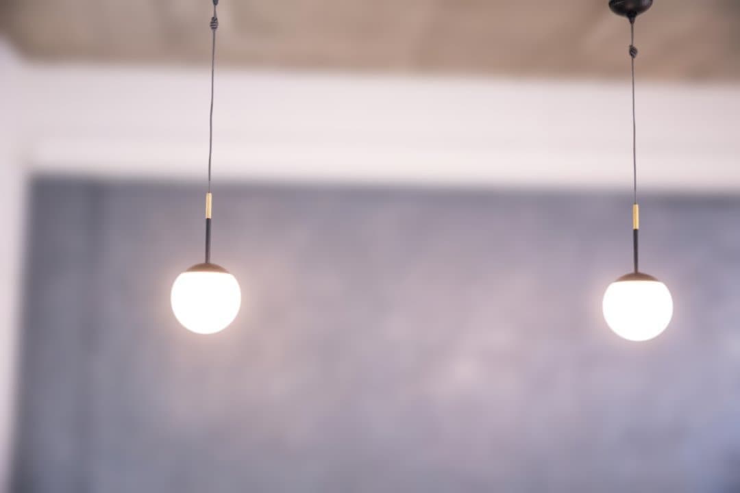 KANADEMONO 球形ペンダントライト ホワイト×ブラック