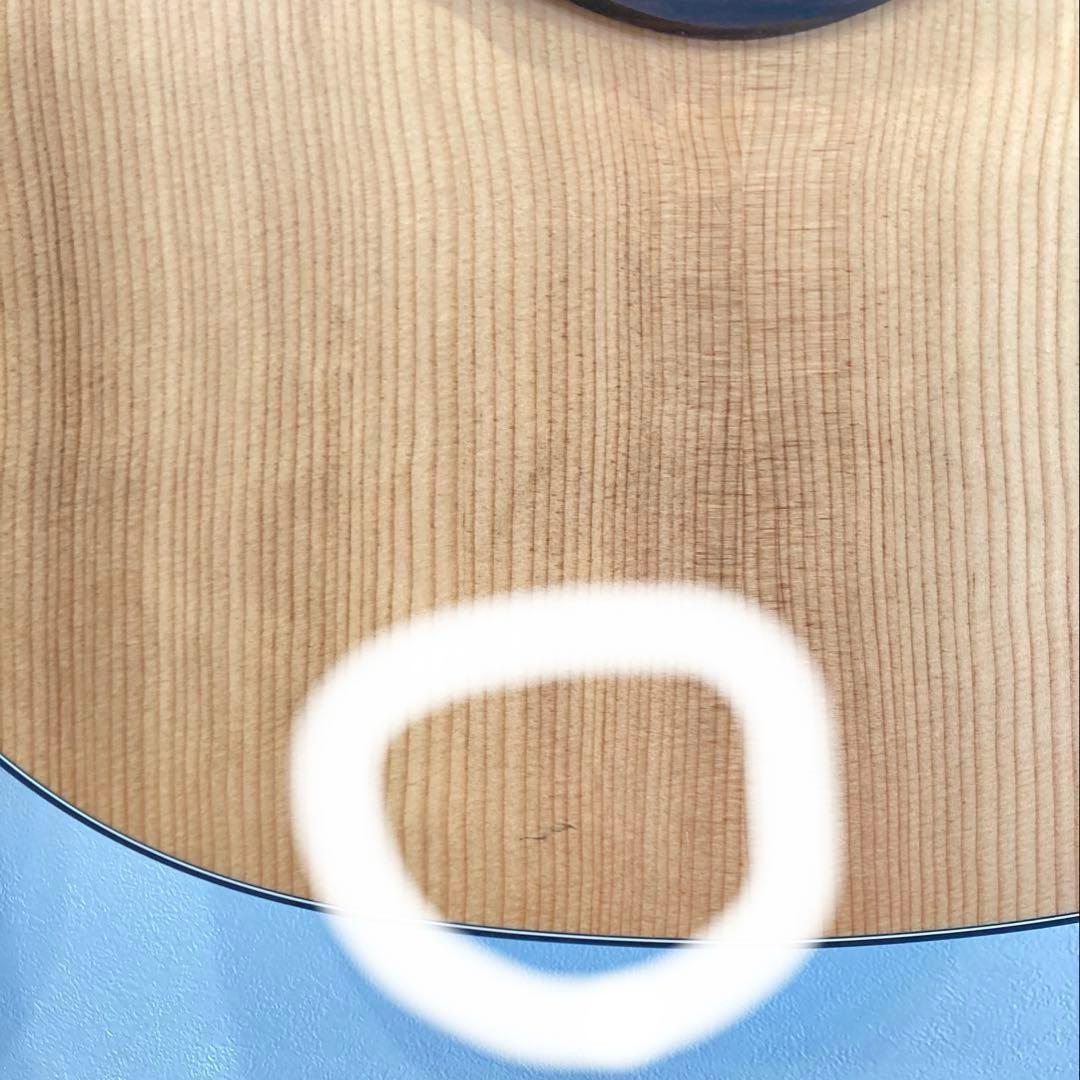 Taylor テイラー 114ce ギグケース付 トップスプルース単板 エレアコ