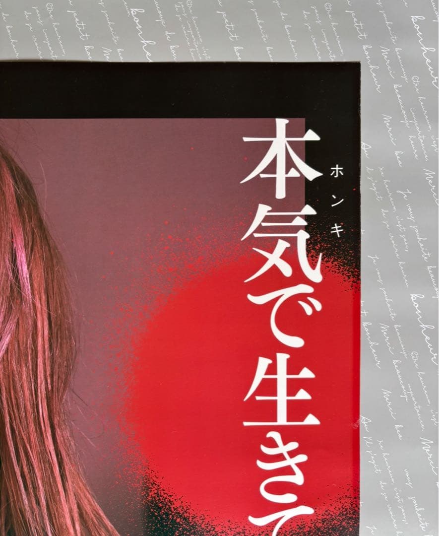 LiSA LADYBUG サイン入りポスター