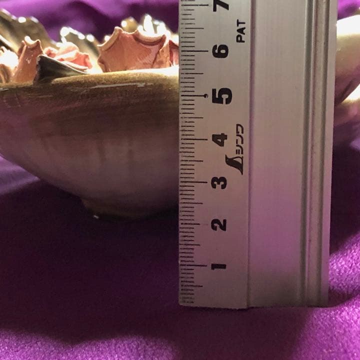 陶器のアンティーク飾り皿